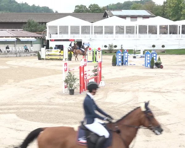FEI Reitturnier Humlikon (SUI) 2018