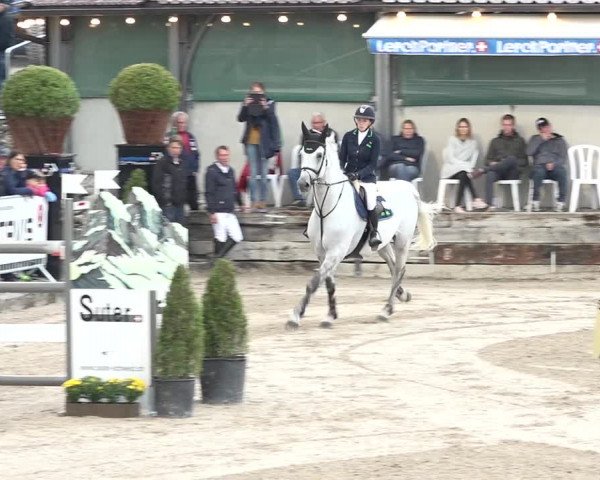 FEI Reitturnier Humlikon (SUI) 2018