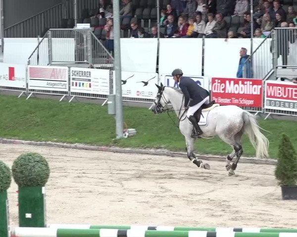 FEI Reitturnier Humlikon (SUI) 2018