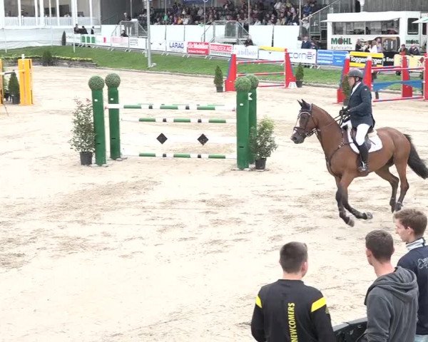 FEI Reitturnier Humlikon (SUI) 2018