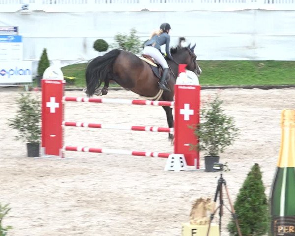 FEI Reitturnier Humlikon (SUI) 2018
