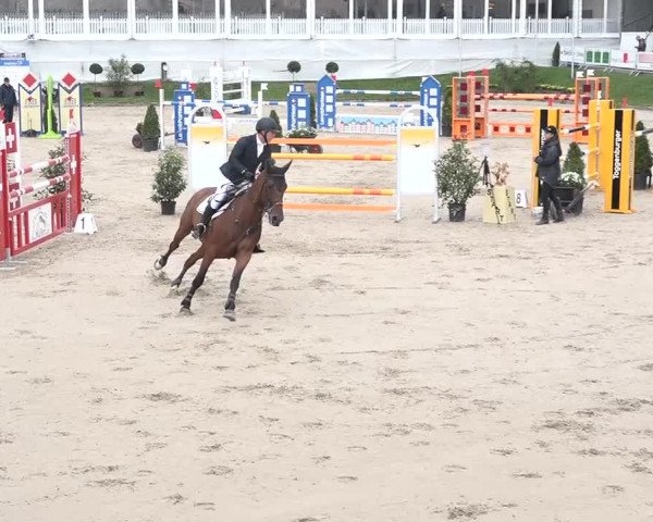 FEI Reitturnier Humlikon (SUI) 2018