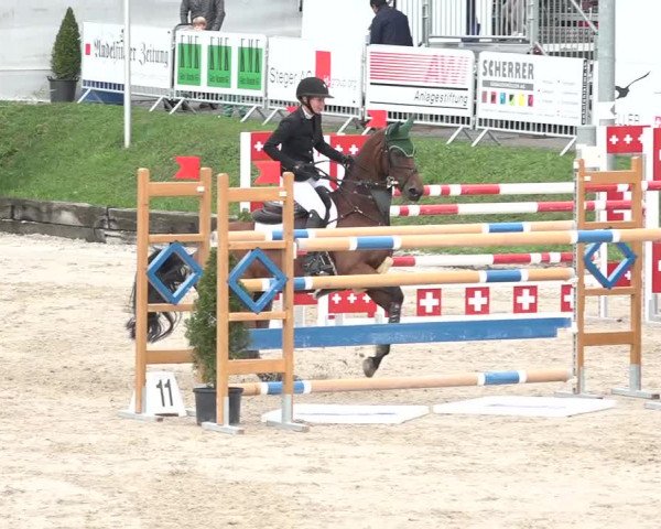FEI Reitturnier Humlikon (SUI) 2018