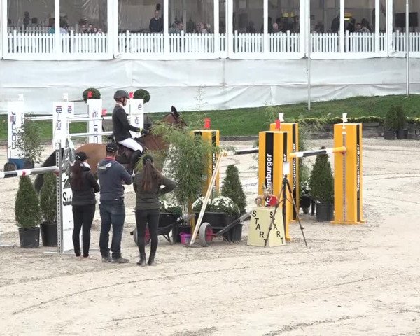 FEI Reitturnier Humlikon (SUI) 2018