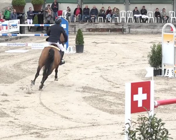 FEI Reitturnier Humlikon (SUI) 2018