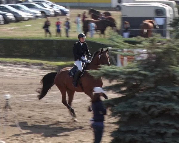Reitturnier Jühnsdorf 2018