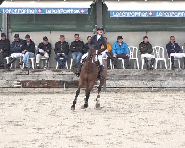 FEI Reitturnier Humlikon (SUI) 2018