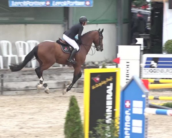 FEI Reitturnier Humlikon (SUI) 2018