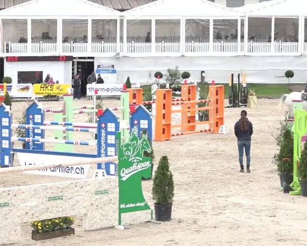 FEI Reitturnier Humlikon (SUI) 2018