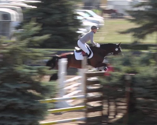 Reitturnier Jühnsdorf 2018