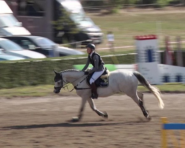 Reitturnier Jühnsdorf 2018