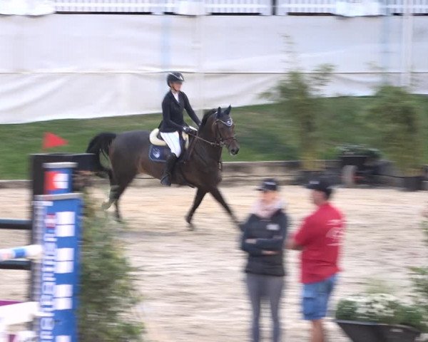 FEI Reitturnier Humlikon (SUI) 2018