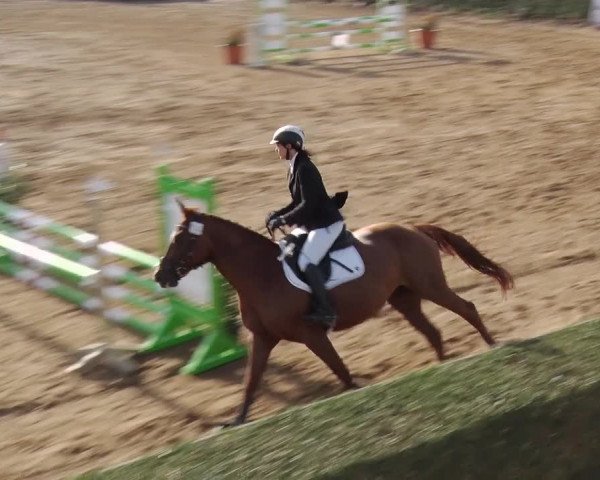 Reitturnier Jühnsdorf 2018