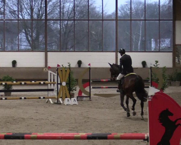 Reitturnier Langenfeld - Gut Langfort 2021