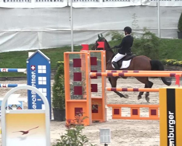 FEI Reitturnier Humlikon (SUI) 2018