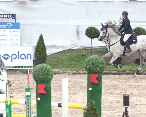 FEI Reitturnier Humlikon (SUI) 2018