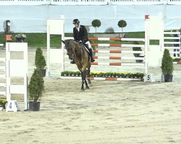FEI Reitturnier Humlikon (SUI) 2018