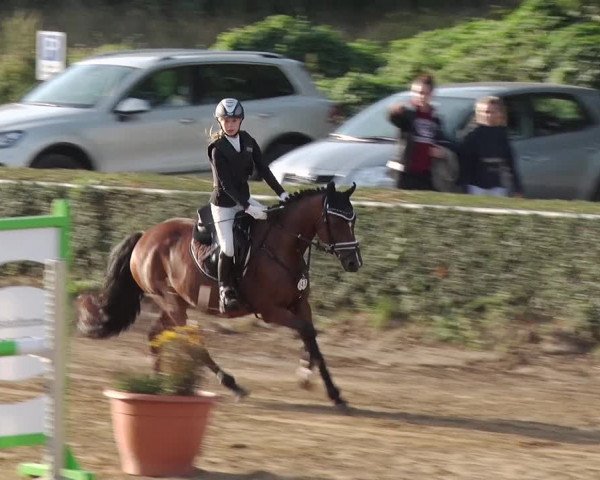 Reitturnier Jühnsdorf 2018