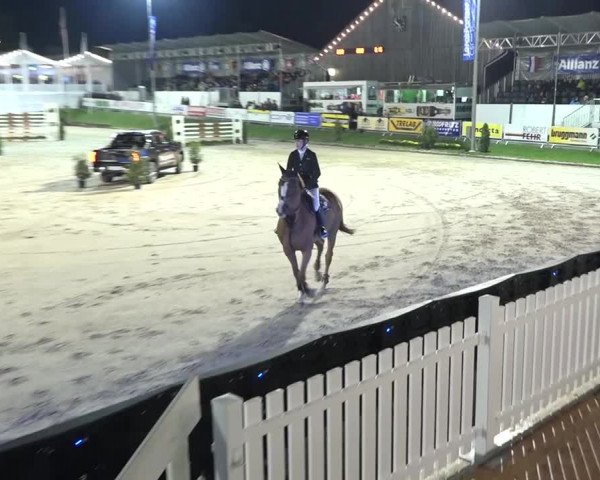 FEI Reitturnier Humlikon (SUI) 2018