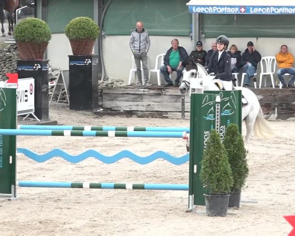FEI Reitturnier Humlikon (SUI) 2018