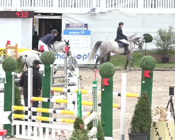 FEI Reitturnier Humlikon (SUI) 2018
