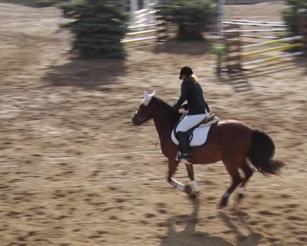 Reitturnier Jühnsdorf 2018