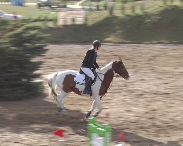 Reitturnier Jühnsdorf 2018