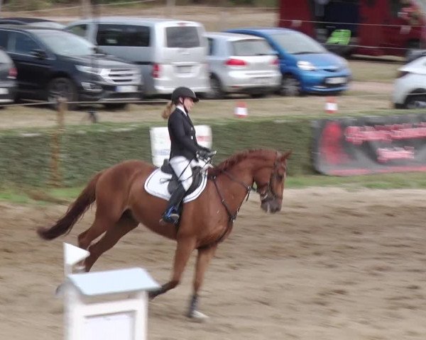Reitturnier Jühnsdorf 2018