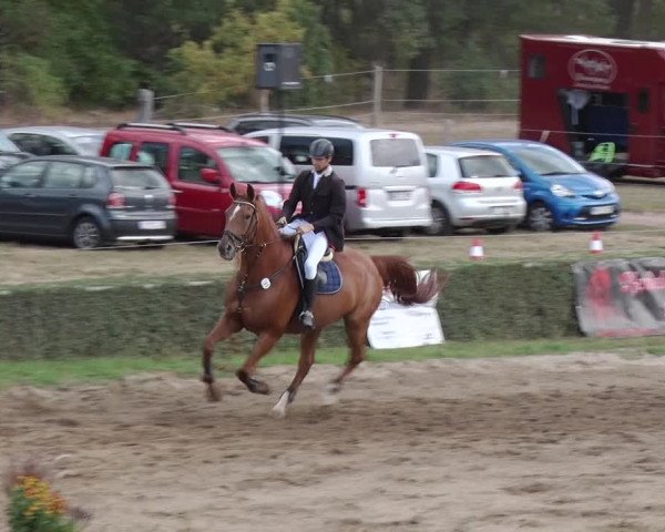 Reitturnier Jühnsdorf 2018
