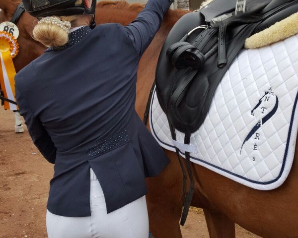 dressage horse Fortuna 453 (KWPN (Royal Dutch Sporthorse), 2010, from Vingino)