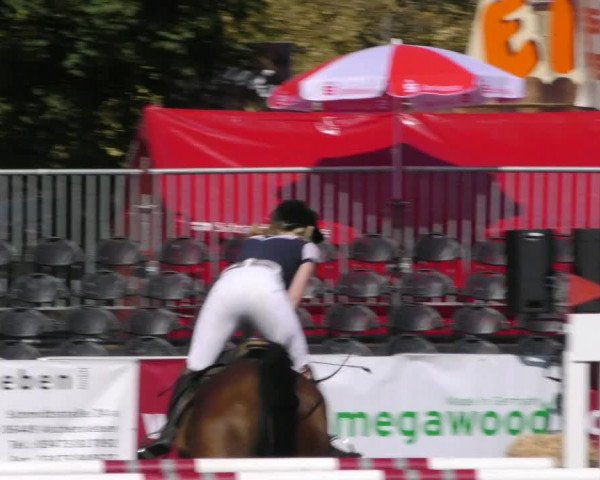 Reitturnier Aschersleben 2018