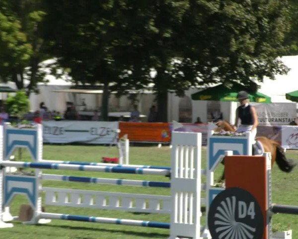 Reitturnier Aschersleben 2018