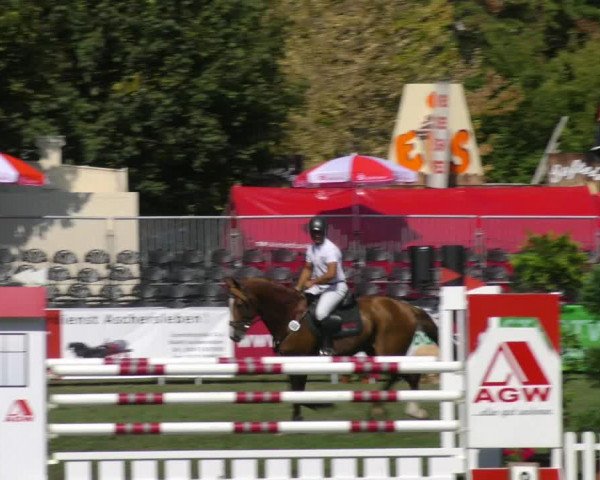 Reitturnier Aschersleben 2018