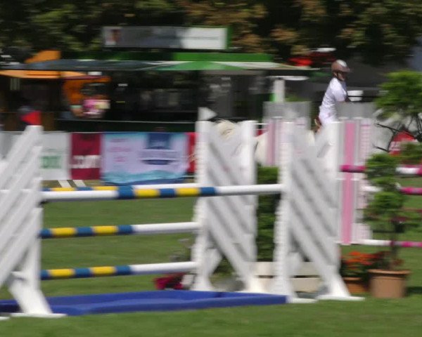 Reitturnier Aschersleben 2018
