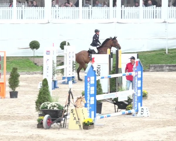 FEI Reitturnier Humlikon (SUI) 2018