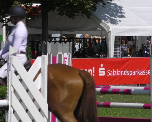 Reitturnier Aschersleben 2018
