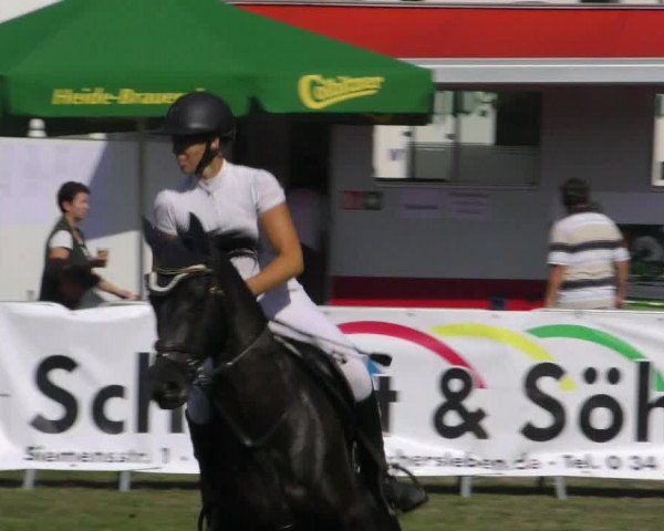 Reitturnier Aschersleben 2018
