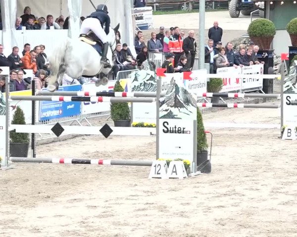 FEI Reitturnier Humlikon (SUI) 2018
