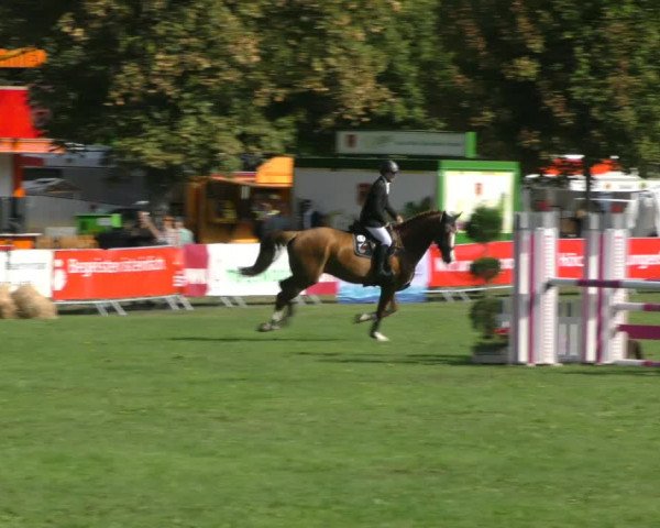 Reitturnier Aschersleben 2018