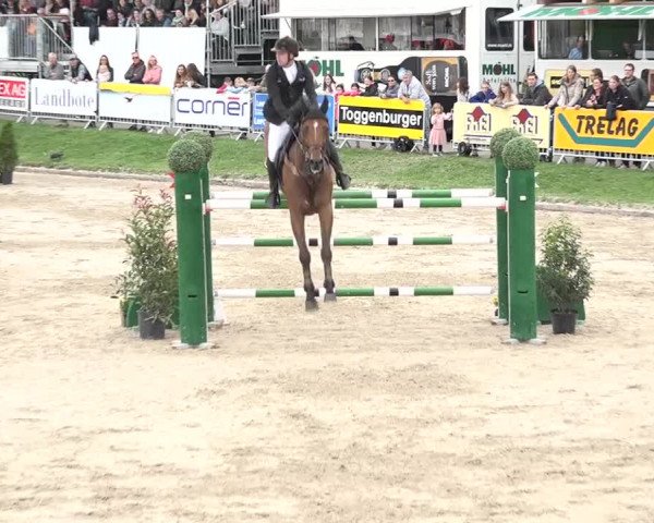 FEI Reitturnier Humlikon (SUI) 2018
