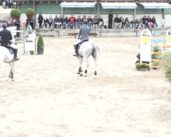 FEI Reitturnier Humlikon (SUI) 2018