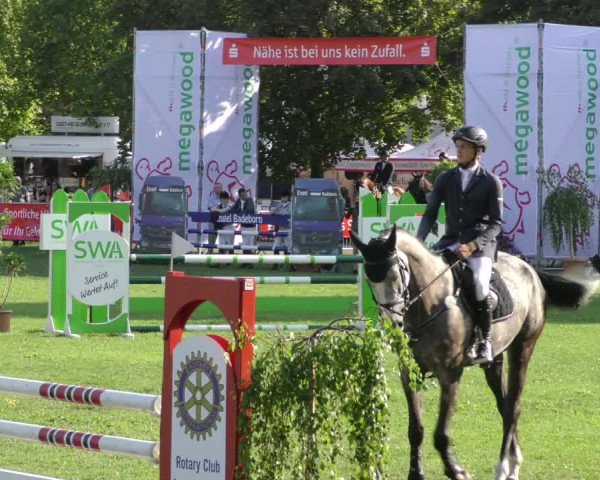 Reitturnier Aschersleben 2018