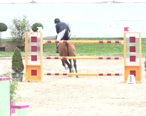 FEI Reitturnier Humlikon (SUI) 2018