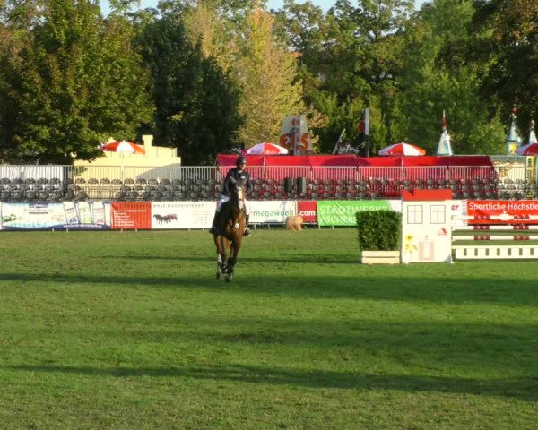 Reitturnier Aschersleben 2018