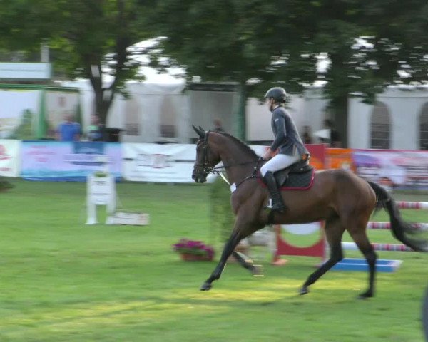 Reitturnier Aschersleben 2018