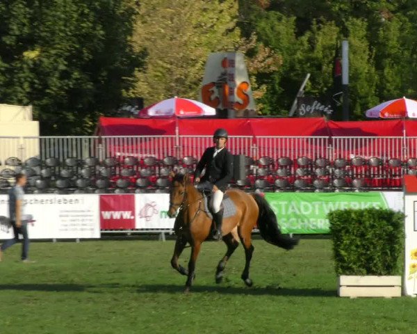 Reitturnier Aschersleben 2018