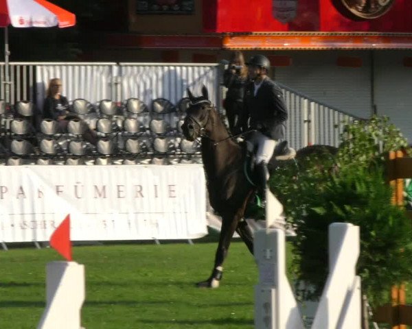 Reitturnier Aschersleben 2018
