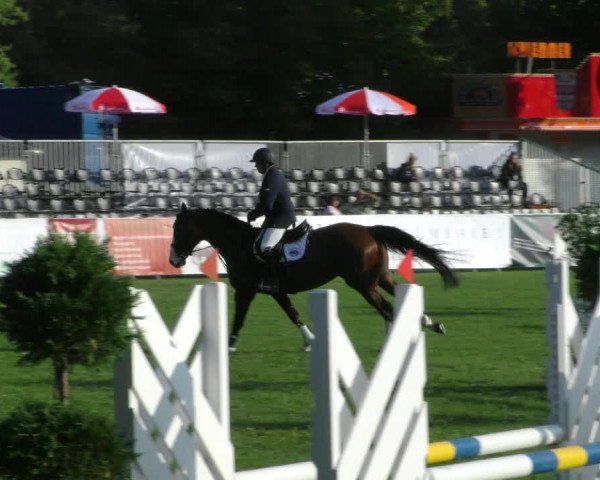 Reitturnier Aschersleben 2018