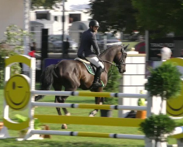 Reitturnier Aschersleben 2018