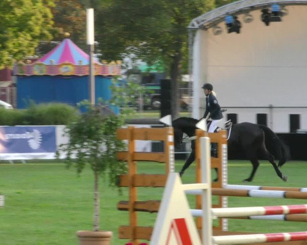 Reitturnier Aschersleben 2018